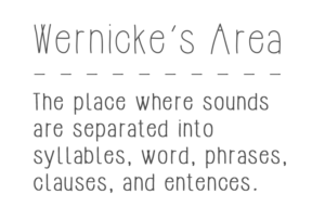 article-definition-wernickes